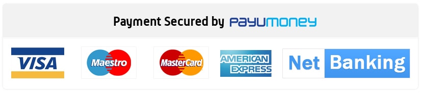 Pay via Paytm / Cards / Net Banking / Wallets / UPI